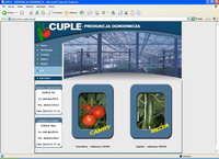 www.cuple.private.pl
